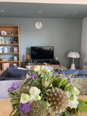 Appartement coeur Saint Remy de Provence
